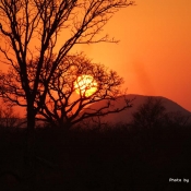Sunset, Madikwe Game Reserve