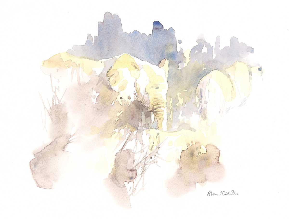 Elephants in Brown by Alison Nicholls ©