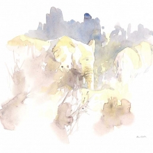 Elephants in Brown Field Sketch by Alison Nicholls ©
