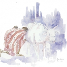 Mothers Milk Field Sketch © Alison Nicholls