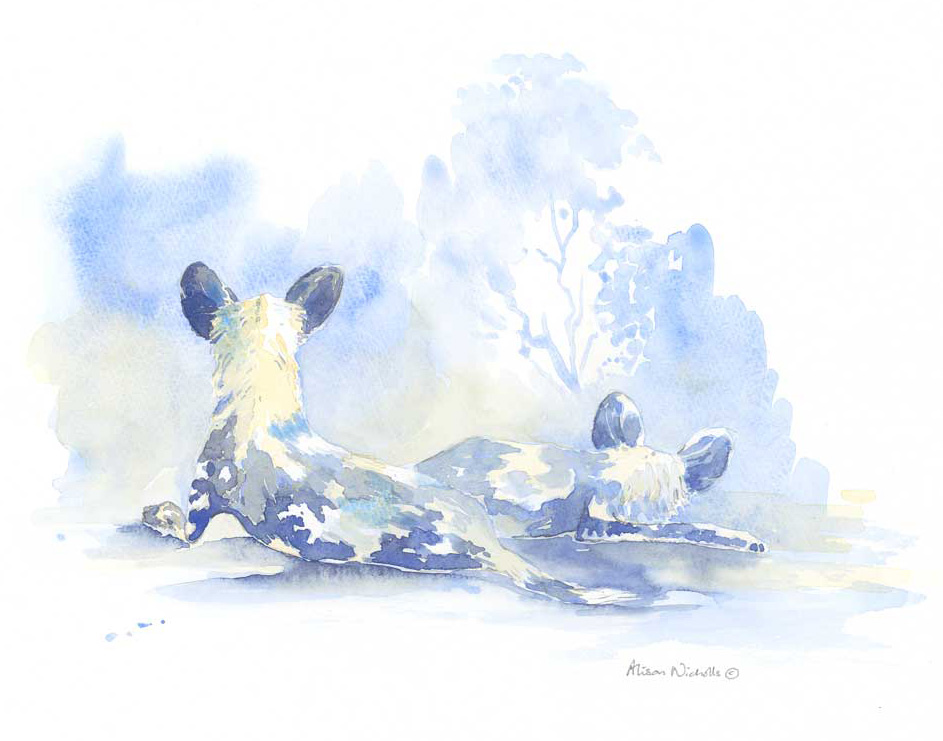 Dogs in Blue Field Sketch by Alison Nicholls ©