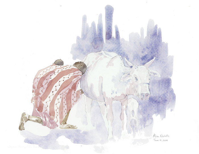 Mothers Milk Field Sketch © Alison Nicholls