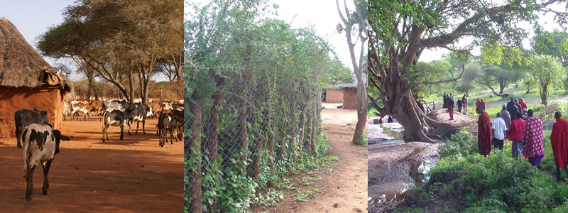 Maasai homestead, Loibor Siret stream, Alison Nicholls teaching art